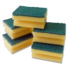 Scourers 5 Pack Premium [1844]