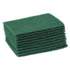 Scouring Pad Large Green 10 Pack 23 x 15cm [777024]