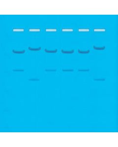 DNA Fingerprinting By Restriction Enzyme Patterns [1828]