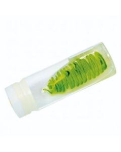 Algae - Scenedesmus quadracauda 30ml UN [80050]