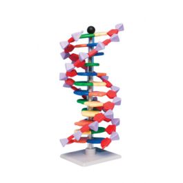 12 Layer Molecular Model Kit | Molymod Advanced Molecular Kit